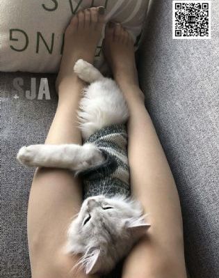熊出没免费看_BD国语免费在线播放
