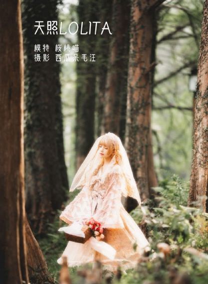 走火电视剧全集免费观看_4KBD在线观看