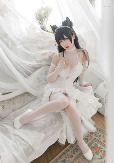 高清在线免费观看完整版电影大全_DVD视频大全