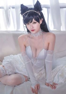 巡回检察组1-43集免费_超清免费观看超清