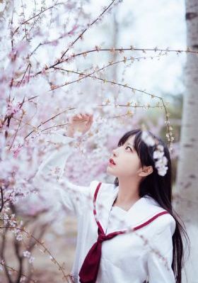 封神榜老版免费观看完整版_BD免费观看视频